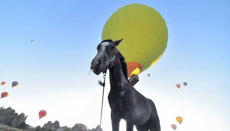 Horse Riding Cappadocia photo 8